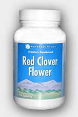 Цветки красного клевера / Red clover flowers